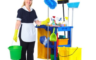 Exceptional Home Cleaning for Busy Lifestyles withMaid Services in Colorado Springs, CO